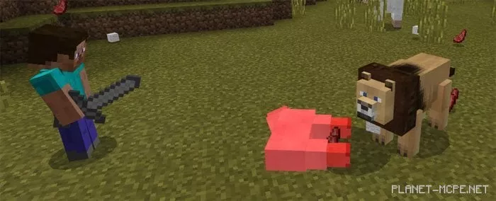 Lions Mod 1.0.6/1.0.0