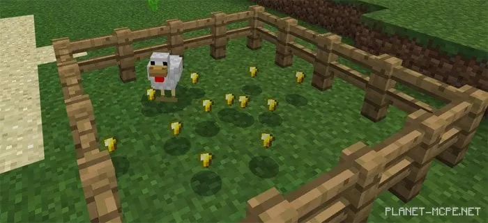 Golden Chicken Mod 1.0.6/1.0.0