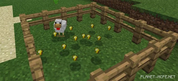 Мод Golden Chicken 1.0.6/1.0.0