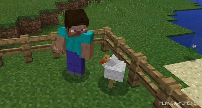 Golden Chicken Mod 1.0.6/1.0.0