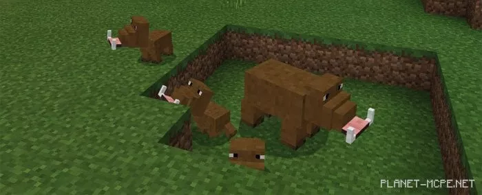 Boar Mod 1.0.6/1.0.0