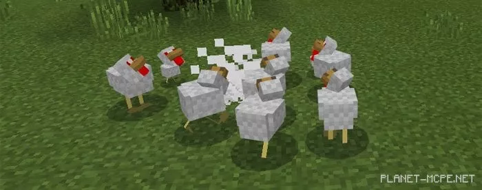 Evil Chicken Mod 1.0.7/1.0.0
