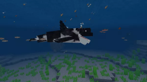 Косатки | Мод Косатки и кашалоты