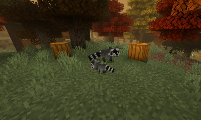 Еноты | Мод Множество биомов