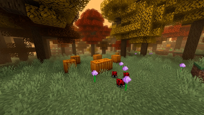 Осенний лес | Мод Множество биомов