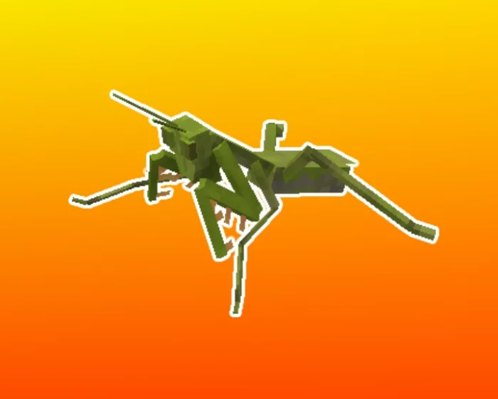 Богомол | Мод Насекомые