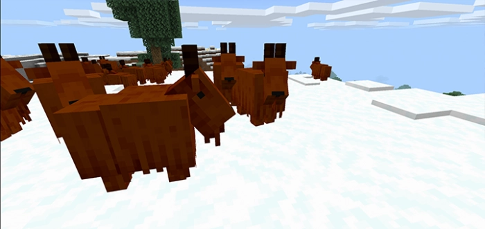 Бурые козы | Мод Козы от Crinkle