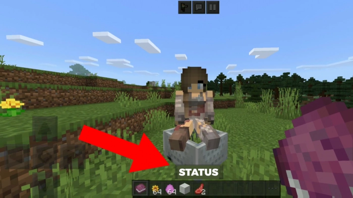 Девушка в Майне | Мод Семейная жизнь