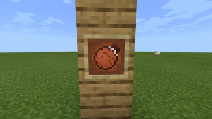 Предметы в выживании | Мод Жажда