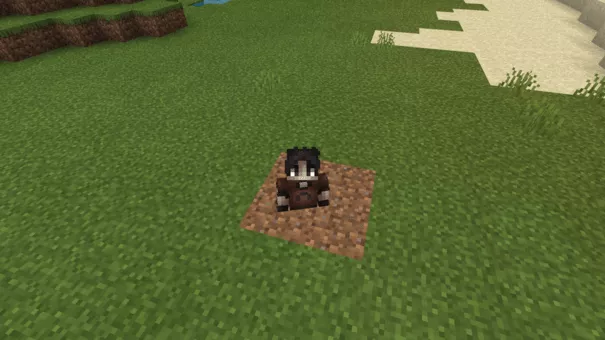 Земля | Мод Разные виды зыбучего песка