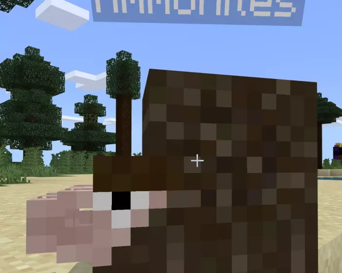 Аммонит | Мод Небольшие наутилусы