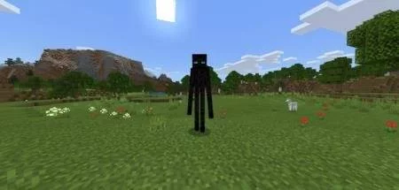 Пилигрим | Мод Фарландеры