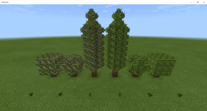 Небольшие деревья | Мод Новые растения