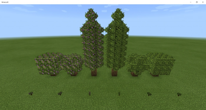 Небольшие деревья | Мод Новые растения