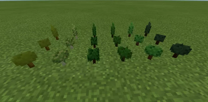 Саженцы | Мод Новые растения