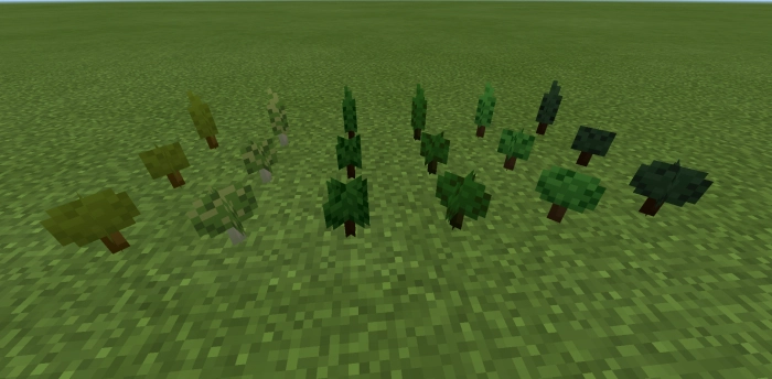 Саженцы | Мод Новые растения