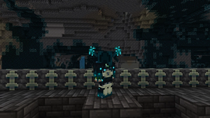 Внешний вид доспехов | Мод Броня Сторожа