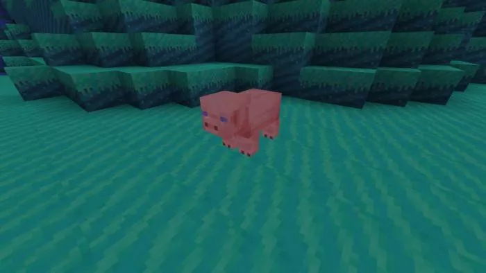 Свинья | Мод The Anthensy Expansion