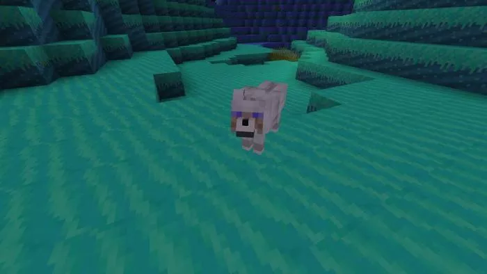 Волк | Мод The Anthensy Expansion