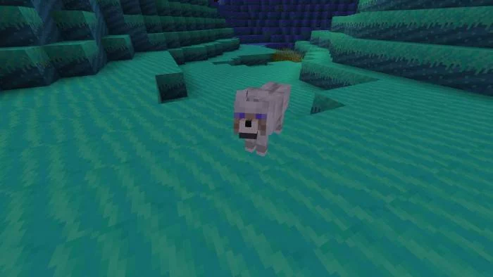 Волк | Мод The Anthensy Expansion