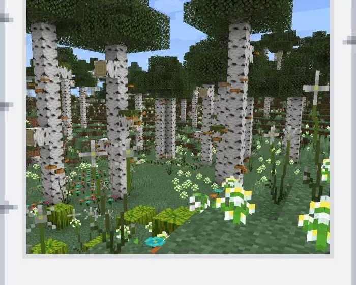 Улучшенный березовый лес | Мод Не добавленный контент