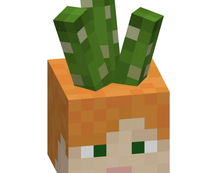 Гоглы | Мод Шляпы+