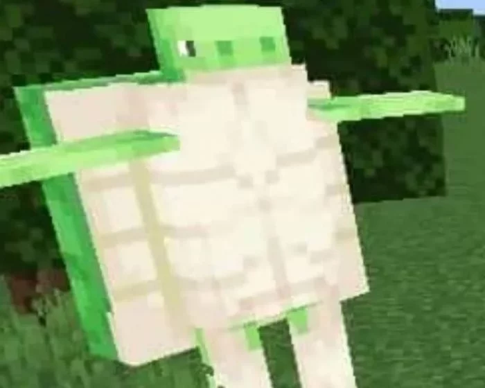 Танцующая черепаха | Мод Улучшенные черепахи