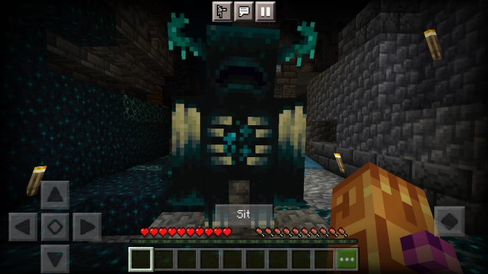 Варден сидит | Мод Приручение хранителя