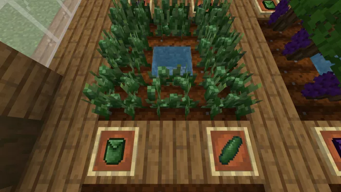 Огурец | Мод Ультра фермерство