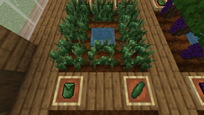 Огурец | Мод Ультра фермерство