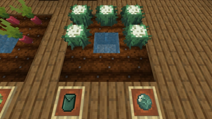 Цветная капуста | Мод Ультра фермерство