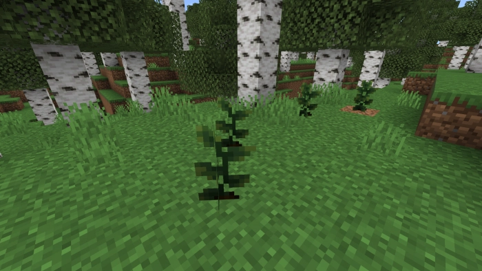 Дикие растения | Мод Ультра фермерство