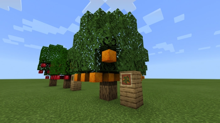 Апельсин | Мод Ультра фермерство