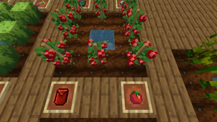 Томат | Мод Ультра фермерство