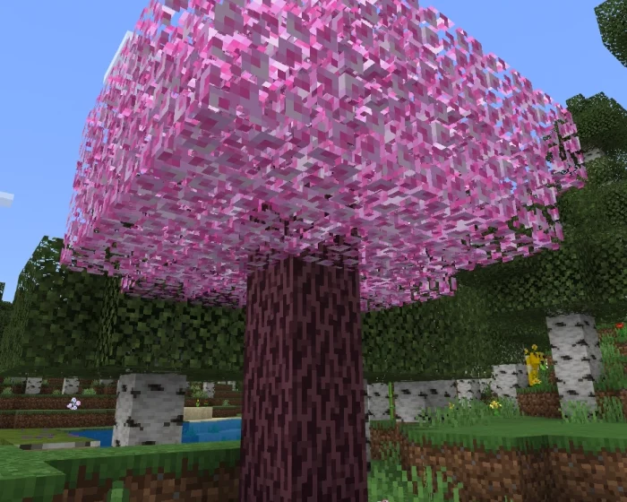 Вишни | Мод Новые березовые леса