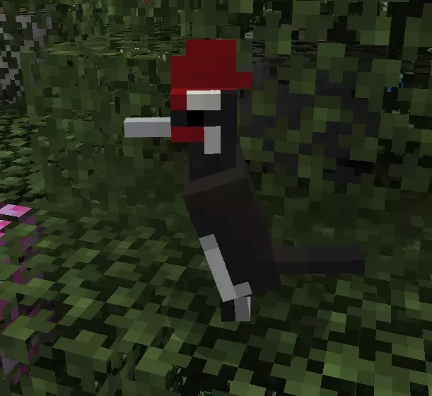 Дятлы | Мод Новые березовые леса