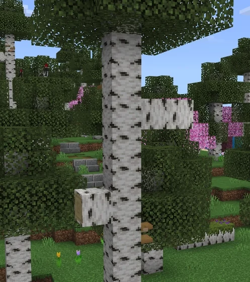 Улучшенные березы | Мод Новые березовые леса