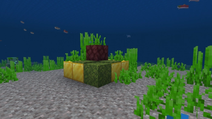 Новые структуры | Мод Baguette