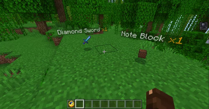 Текст на предмете | Мод Текст над предметом