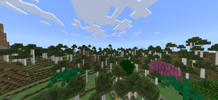 Переделанный березовый лес | Мод Ванильная эволюция