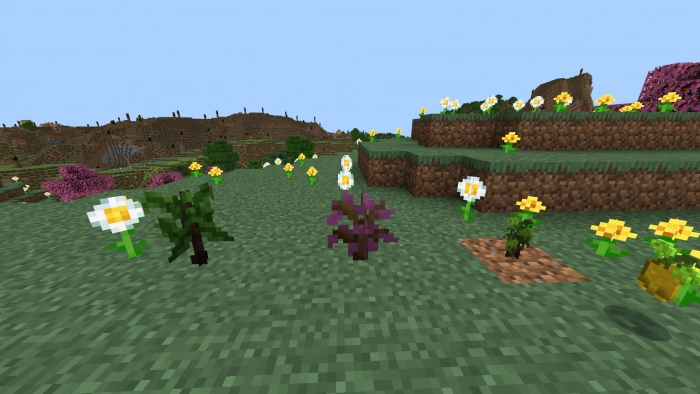 Саженцы | Мод Вкусная еда