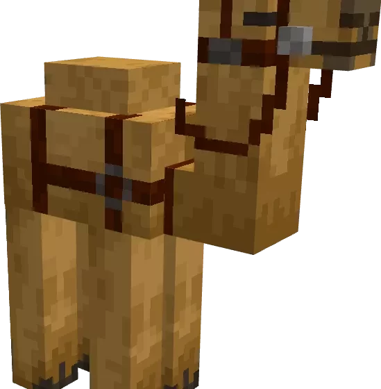 Верблюд | Мод Верблюды