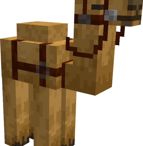 Верблюд | Мод Верблюды