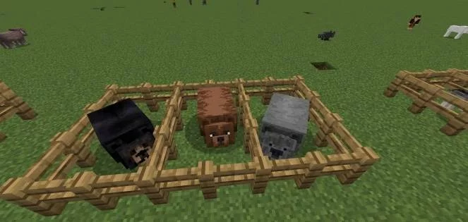 Животные | Мод Мир Средиземья