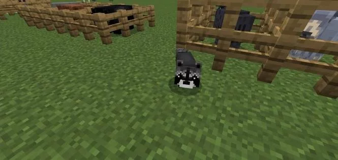 Животные | Мод Мир Средиземья