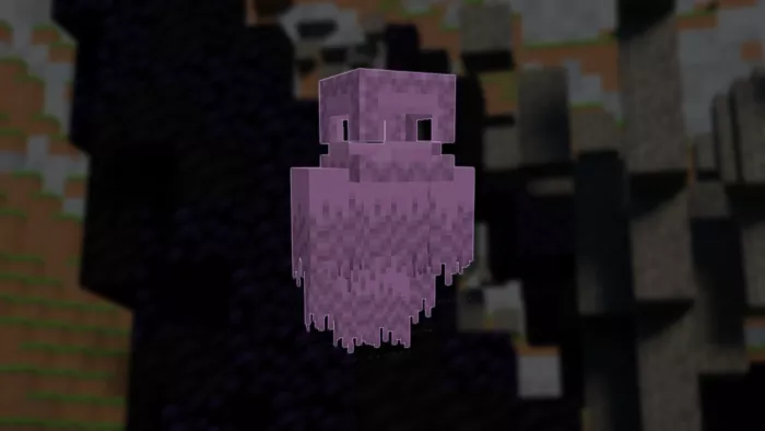 Шалкерная | Мод Мантии