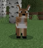 Превью мода | Мод Экипировка грабителя