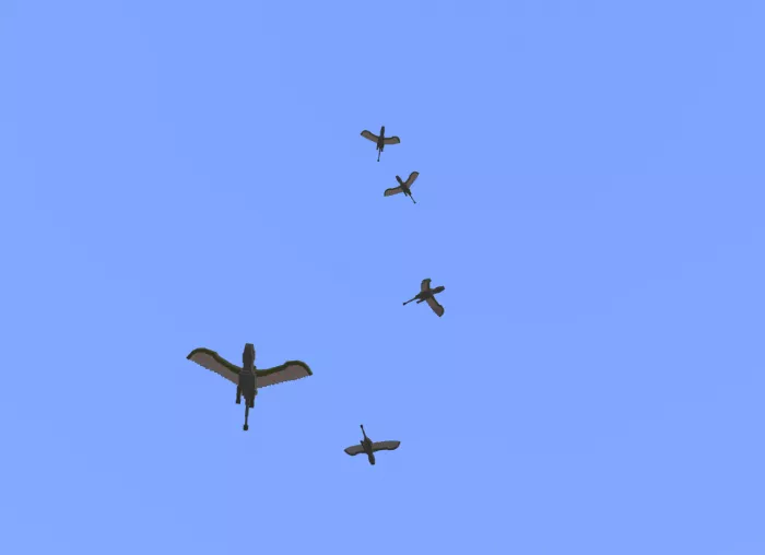 Превью мода | Мод Не ванильные мечи