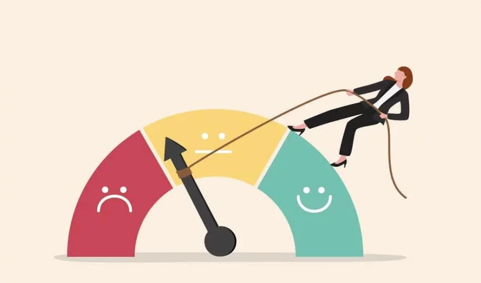 Audience Expectations and Expert Predictions for Release Success